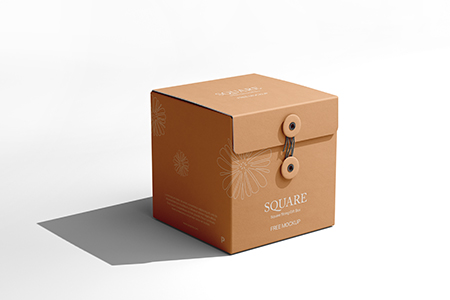 Free Square String Gift Box Mockup